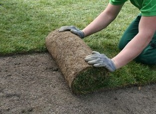 Man Laying Down Grass - Landscape Installation